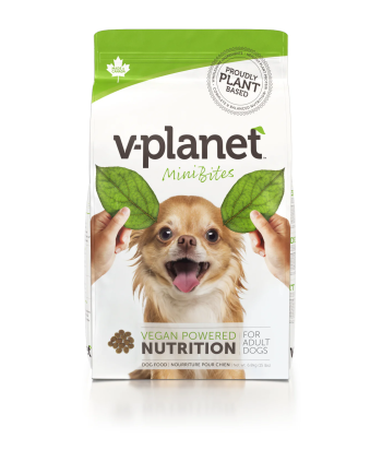 v-planet Kibble